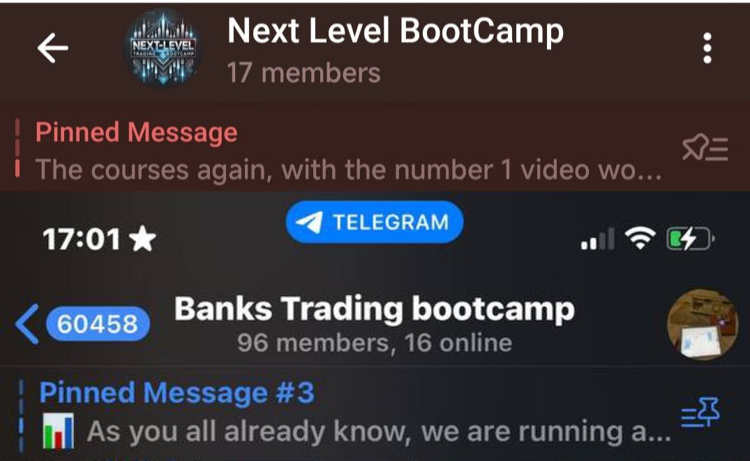 Mr. Banks Telegram Bootcamp Growth Proof: 17 to 96 Members